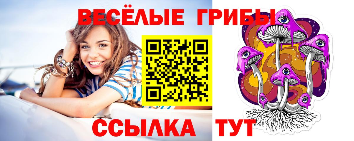 Псилоцибиновые грибы GOLDEN TEACHER  Вход с VPN  Южно-Сахалинск  Галлюциногенные грибы Magic Shrooms 