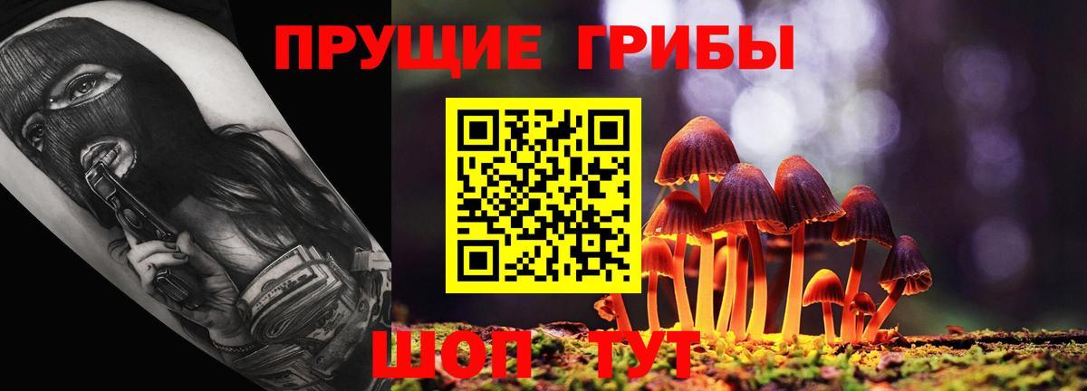 Псилоцибиновые грибы Psilocybe Южно-Сахалинск